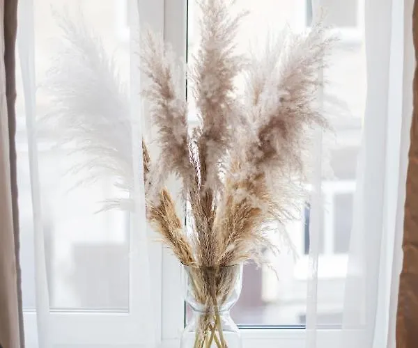 #stayhere - Modern & * Vilnius